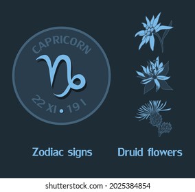 Zodiac sign Capricorn from December 22 to January 19. Horoscope logo on dark blue background. Druid flowers: edelweiss, gentian, thistle.