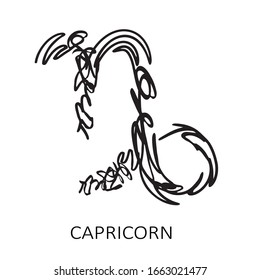 Zodiac sign Capricorn isolated on white background. Zodiac constellation. Design element for horoscope and astrological forecast. Hand drawn style. Vector illustration.