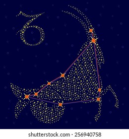 Zodiac sign Capricorn on a background of the starry sky with the scheme of stars in the constellation, vector illustration