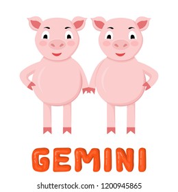 Zodiac sign Gemini. 2019 year of the pig. Two piglets twins. Funny horoscope. Cute animal. Vector illustration in cartoon style. Lettering jelly Gemini. Isolated object on white background.