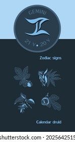Zodiac sign Gemini from May 21 to June 20. Horoscope logo on dark blue background. Druidic calendar: chestnut, ash, hornbeam, figs.