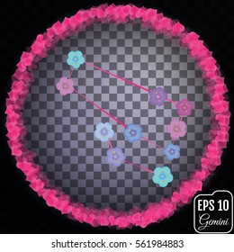 Zodiac sign Gemini. Primula concept. Flowers concept. Constellation Gemini. Transparent background.