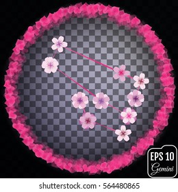 Zodiac sign Gemini. Sakura concept. Flowers concept. Constellation Gemini. Transparent background.