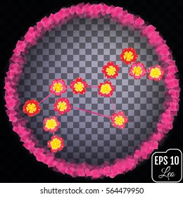 Zodiac sign Leo. Primrose concept. Flowers concept. Constellation Leo. Transparent background.