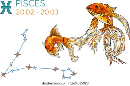 Zodiac sign Pisces on white. Сonstellation and gold fish. Horoscope. Astrology date. Stars.