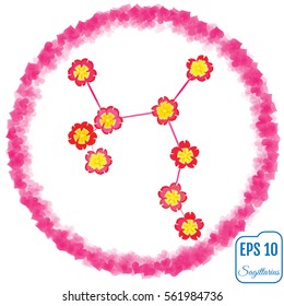 Zodiac sign Sagittarius. Primrose concept. Flowers concept. Constellation Sagittarius.