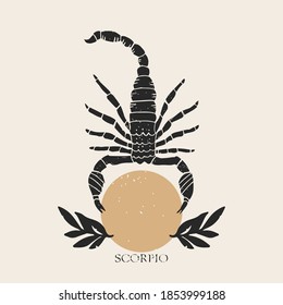 simple scorpio scorpion