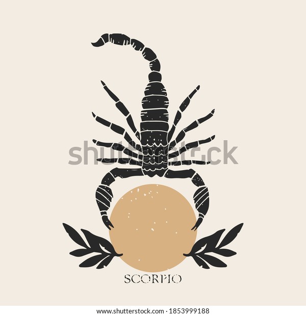 Zodiac sign Scorpio in boho style. Trendy\
vector illustration.