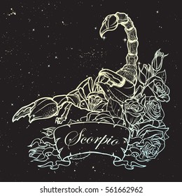 Zodiac sign Scorpio. Detailed realistic scorpio in a decorative frame of roses. Sketch on a starry night sky background. Concept art for tattoo design, horoscope, coloring book for adults page.