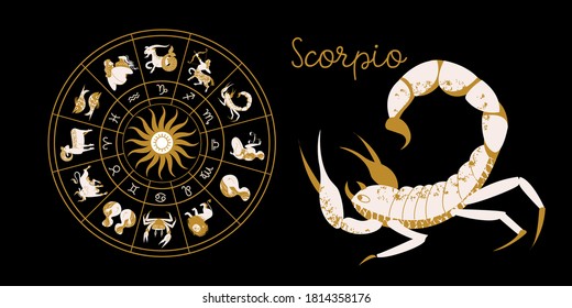 Zodiac sign Scorpio. Horoscope and astrology. Full horoscope in the circle. Horoscope wheel zodiac with twelve signs vector. 