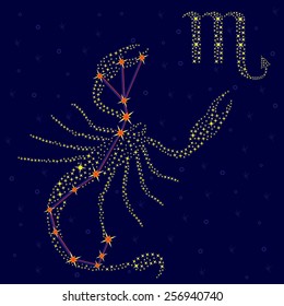 Zodiac sign Scorpio on a background of the starry sky with the scheme of stars in the constellation, vector illustration