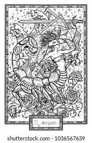 Zodiac sign Scorpio or Scorpion with carnation flower and lucky numbers. Hand drawn fantasy graphic vector illustration in frame. Black and white doodle mystic drawing with engraved horoscope symbol