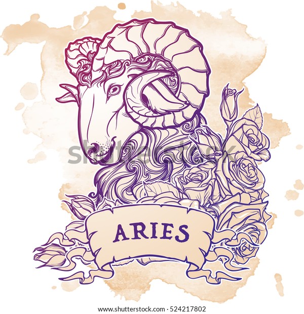 Zodiac Sign Taurus Decorative Frame Roses Stock Vector (Royalty Free