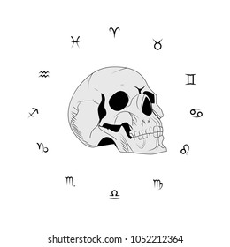 Zodiac signs around the skull