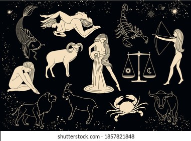 Zodiac signs collection. Mystical, esoteric symbols of astrology. Gold illustrations of women, animals. Mysterious images in the starry sky.