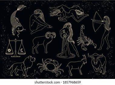 Zodiac signs collection. Mystical, esoteric symbols of astrology. Gold illustrations of women, animals. Mysterious images in the starry sky.