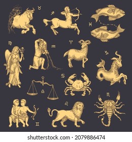 Zodiac signs collection, vector drawings in engraving style. Horoscope symbols design concept, hand drawn illustrations. Astrological background.