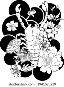 Zodiac Signs Set Of Horoscope Symbols Astrology Icons Collection.Zodiac signs such as a aries, taurus, gemini, cancer, leo, virgo, libra, scorpio, sagittarius, capricorn, aquarius, pisces. 