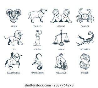 Zodiac signs vector illustration. Zodiac signs set hand drawing. Astrology symbols