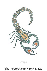 Zodiac signs, vector illustrations, Scorpio