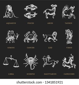 Zodiac symbols set, hand drawn in engraving style. Vector graphic retro illustration of astrological signs.