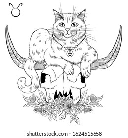 Zodiac. Vector illustration of the astrological sign of Taurus as a British cat lying on the skull of a bull. Line art template suitable for coloring book page. Print isolated on white background