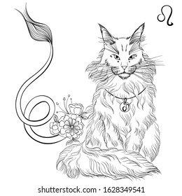 Zodiac. Vector illustration of the astrological sign of Leo as a sitting Maine coon cat. Line art template suitable for coloring book page. Print isolated on white background