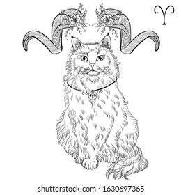 Zodiac. Vector illustration of the astrological sign of Aries as a sitting cat breed La perm. Line art template suitable for coloring book page. Print isolated on white background