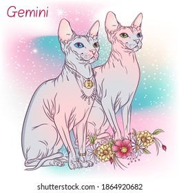 Zodiac. Vector illustration of the astrological sign of Gemini as a Sphynx cat sitting sideways. Astrological horoscope element. Astrology concept art