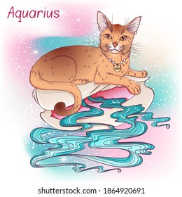 Zodiac. Vector illustration of the astrological sign of Aquarius as a cat Abyssinian breed lying on the shell. Astrological horoscope element. Astrology concept art