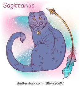 Zodiac. Vector illustration of the astrological sign of Sagittarius as a scottish fold cat sitting back with face turned to the viewer. Astrological horoscope element. Astrology concept art