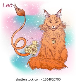 Zodiac. Vector illustration of the astrological sign of Leo as a sitting breed Maine coon cat. Astrological horoscope element. Astrology concept art