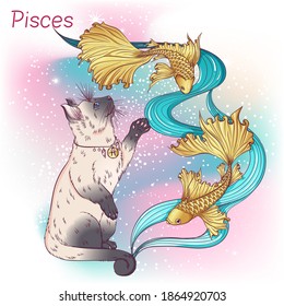 Zodiac. Vector illustration of the astrological sign of Pisces as a Siamese or Thai cat breed standing on two hind legs. Astrological horoscope element. Astrology concept art