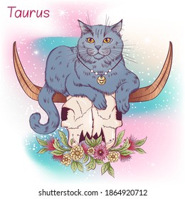 Zodiac. Vector illustration of the astrological sign of Taurus as a british cat lying on the skull of a bull. Astrological horoscope element. Astrology concept art