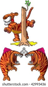 Zodiac Year of the tiger