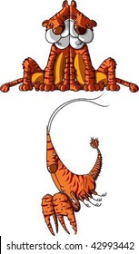 Zodiac Year of the tiger