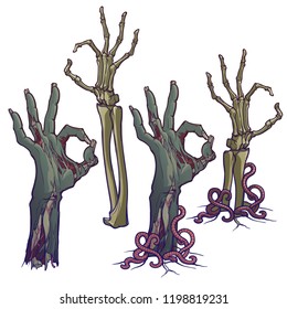 Zombie body language. OK Sign. Set of lifelike depicted rotting zombie hands and skeleton hands rising from under the ground and torn apart. linear drawing isolated on white background