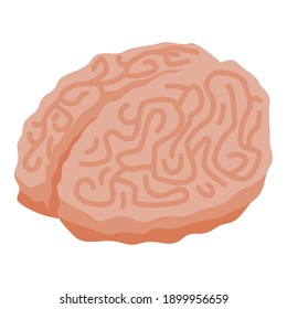 Zombie brain icon. Isometric of zombie brain vector icon for web design isolated on white background