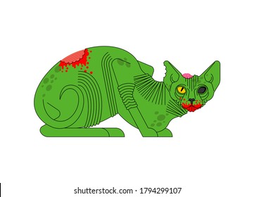 Zombie cat. Pet green monster. vector illustration
 
