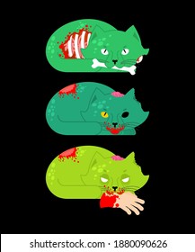 Zombie cat. Pet zombi. Kitten revived dead. kitty Green monster
