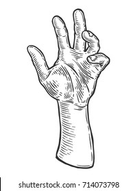 Zombie dead man hand hand drawn sketch vector illustration. Halloween decoration, isolated ink engraved hand.