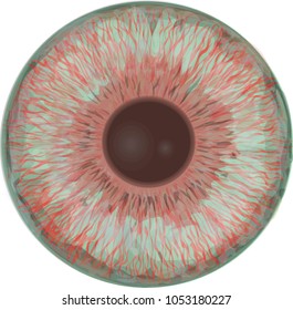 Zombie eye iris - pale blue eye iris with red elements