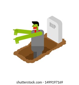 Zombie got up from grave. vector illustration
