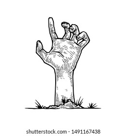 Zombie Hand, Hand Drawn Illustration, Isolated Vector