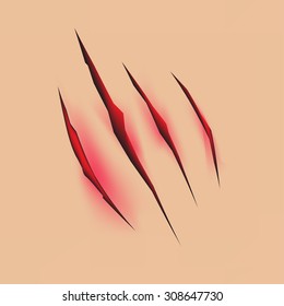 zombie scratch  vector