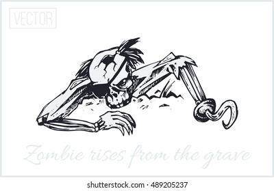 Zombies rises from the grave. Illustration. sketch drawn by hand with ink. Isolated vector. Vintage. design for Halloween