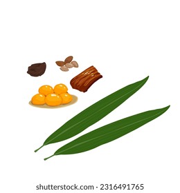 zongzi, festival de botes de dragón comida.Cultura de la comida china, ingredientes pegajosos de bolas de arroz, hojas de bambú, yema de huevo, cerdo, maní y setas sobre fondo blanco. Ilustración del vector de receta asiática