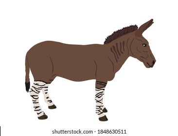 Zonkey vector illustration isolated on white background. Zebra  Donkey symbol. Zorse or zebrula or zonkie.