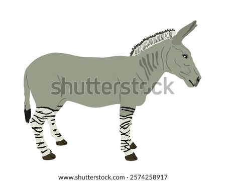 Zonkey vector illustration isolated on white background. Zebra  Donkey symbol. Zorse or zebrula or zonkie.