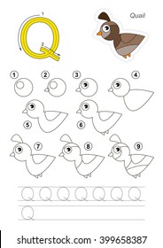 Alfabeto del zoológico completo. Aprende a escribir a mano. Tutorial de dibujo para la letra Q